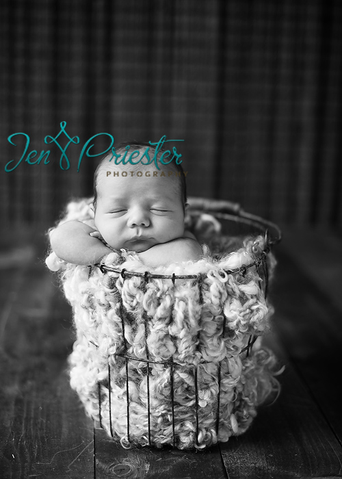 Saginaw Michigan Newborn Photographer