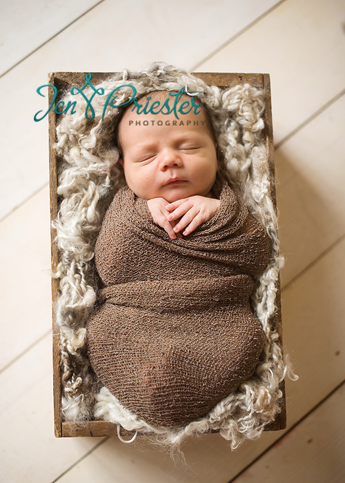 Saginaw Michigan Newborn Photographer
