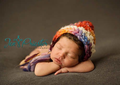 Michigan Photographer