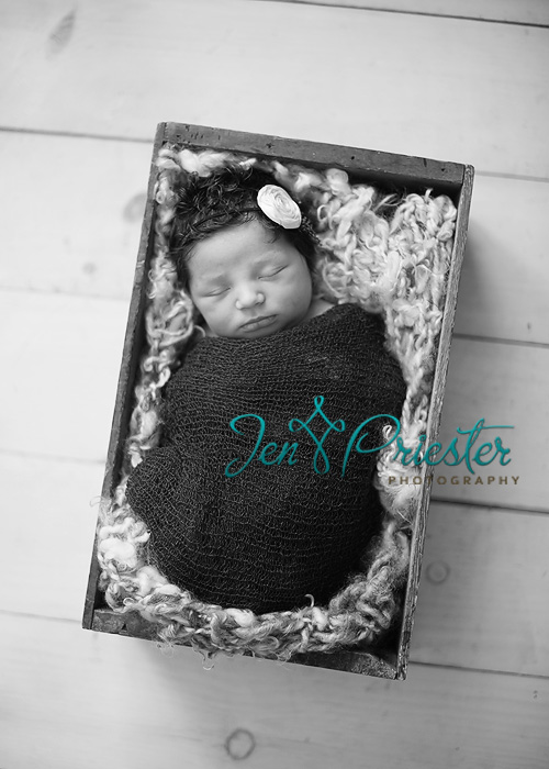 Newborn Photographer