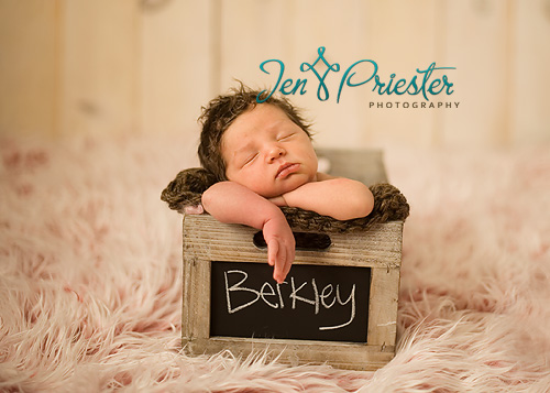 Newborn Photography In Michigan1