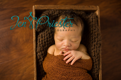 H002 Shelby Michigan Michigan Newborn Photography Baby Photography Jen Priester Photography1