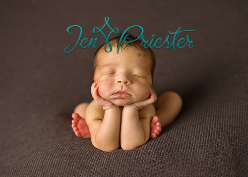 H006 Shelby Michigan Michigan Newborn Photography Baby Photography Jen Priester Photography