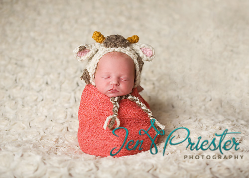 Michigan Newborn Photographer