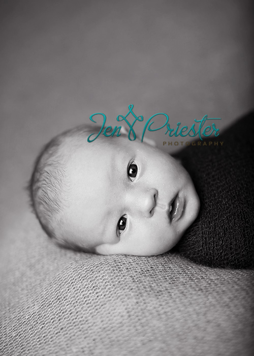 Michigan Newborn Photography