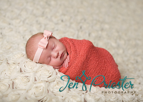 Rochester Mi Photography