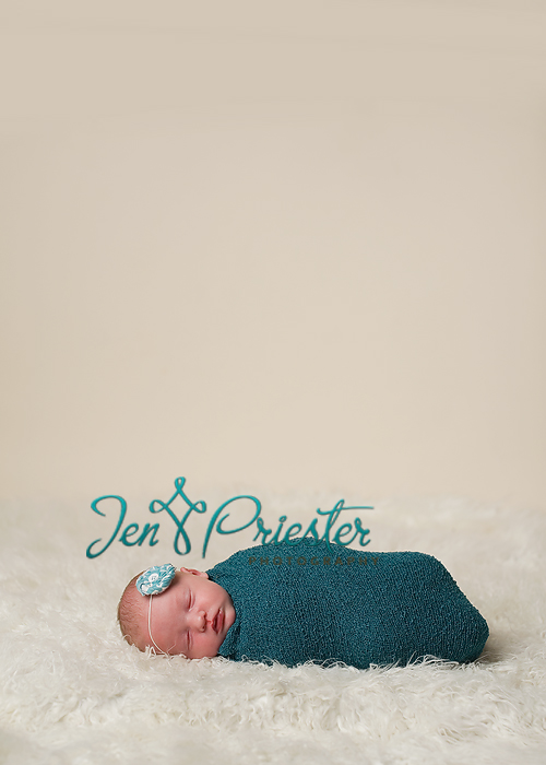 Rochester Michigan Newborn Photographer