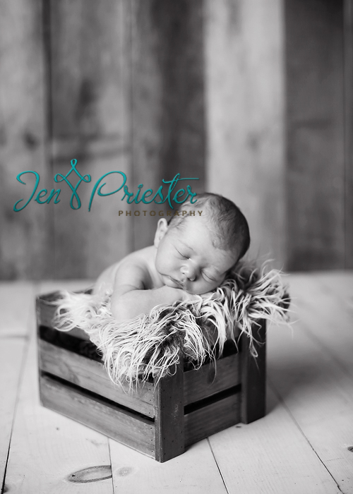 Shelby Michigan Newborns