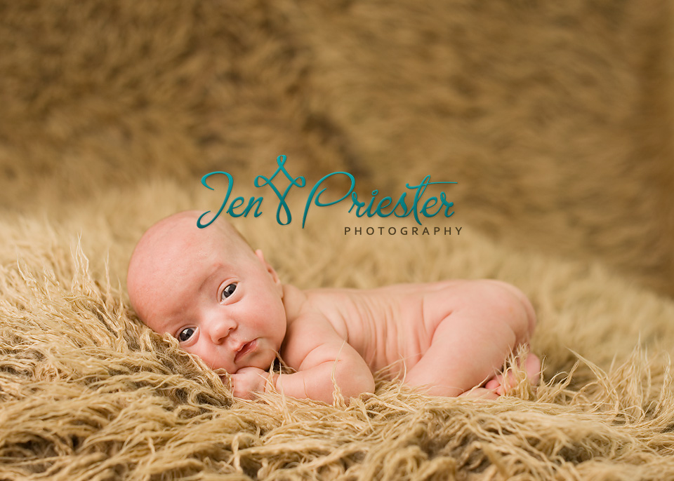 Birmingham Michigan Newborn Photographer4