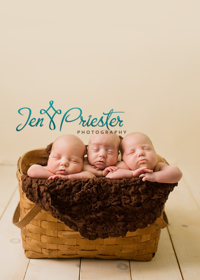 Rochester Hills Michigan Newborn Photographer