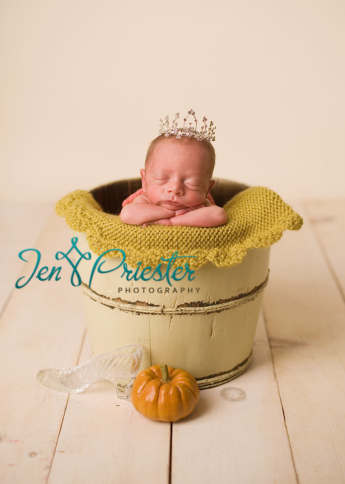 Baby Photographer In Michigan