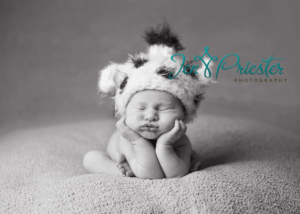 Birmingham Michigan Newborn Photographer2