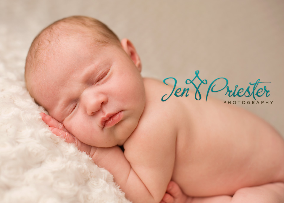 Birmingham Michigan Newborn Photographer4