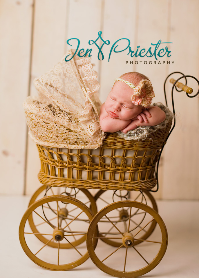 Birmingham Michigan Newborn Photographer7