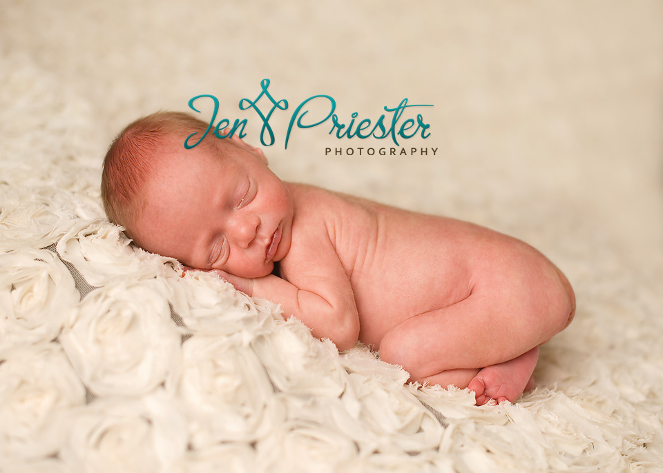 Michigan Baby Photographer