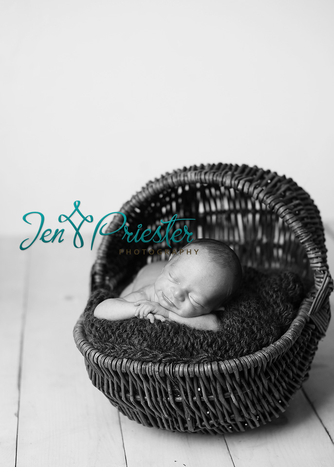 Michigan Photographer