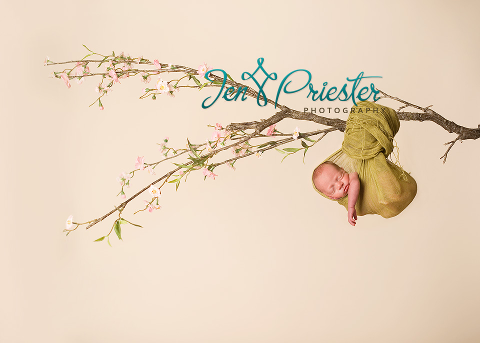 Newborn Photographer In Michigan