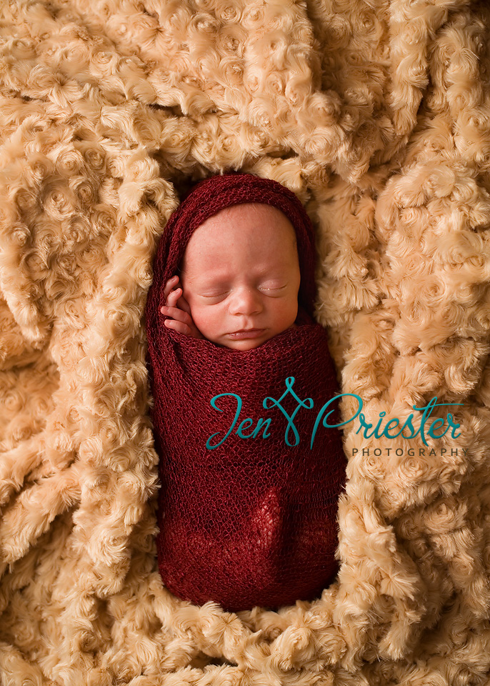Newborn Photographer Michigan