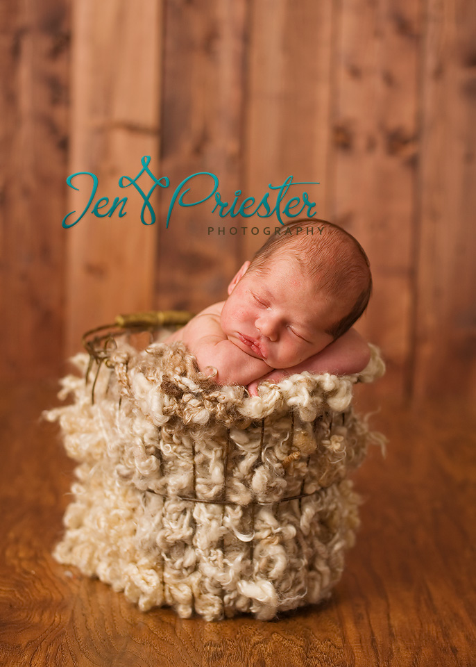 Rochester Michigan Newborn Photographer3