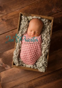 MI Newborn Photographer1 214x300