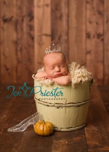 Michigan Newborn Photographer4 214x300
