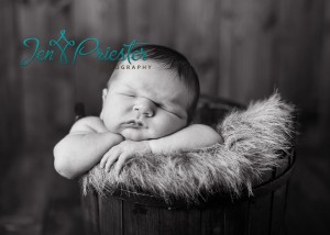 Michian Newborn Photographer 300x214