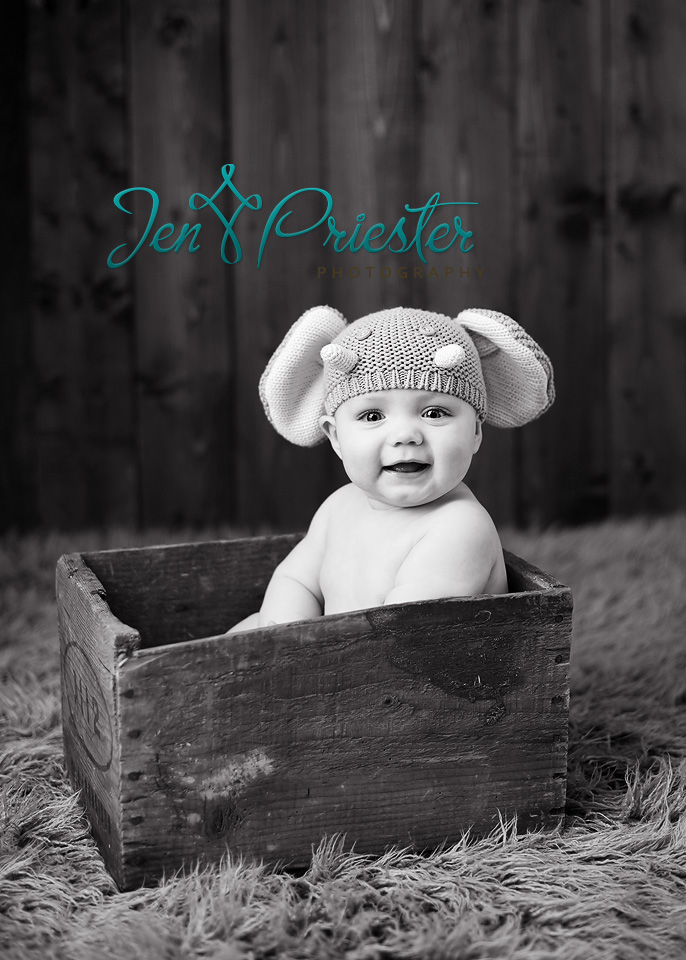 Ann Arbor Mi Baby Photographer