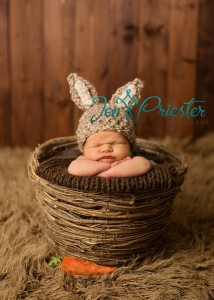 Newborn Photography Royal Oak Mi 214x300