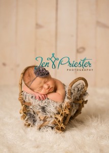Ann Arbor Michigan Newborn Photographer 214x300