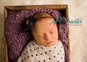 Ann Arbor Michigan Newborn Photography 300x214