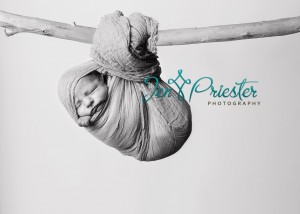 Baby Boy Wrap Sleeping Michigan Newborn Tree Branch 300x214