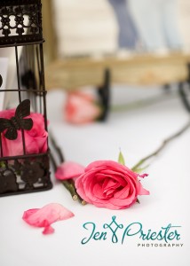 Brighton Michigan Newborn Baby Photographer 214x300