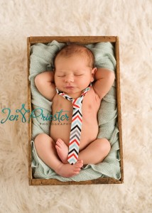Livonia Ann Arbor MI Newborn Photographer 214x300