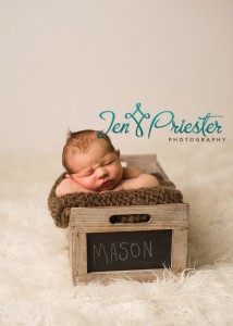 Livonia Michigan Newborn Photographer 214x300