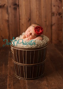 Maternity Photographers Ann Arbor Canton Oakland Rochester MI 214x300