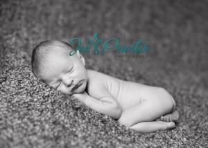 Michigan Newborn Photographs Portraits Ann Arbor 300x214