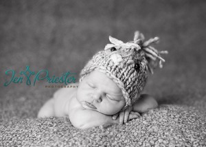 Michigan Newborn Photos Ann Arbor 300x214