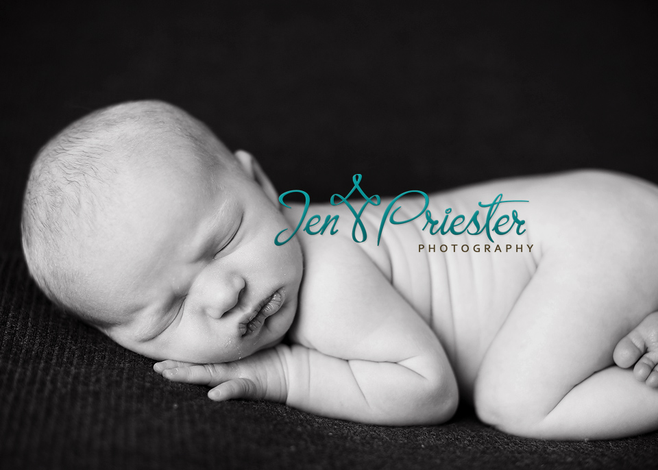 Canton Michigan newborn photography