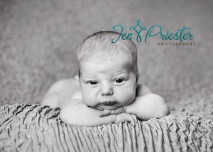 Newborn Photos Alert Newborn Canton Michigan 300x214