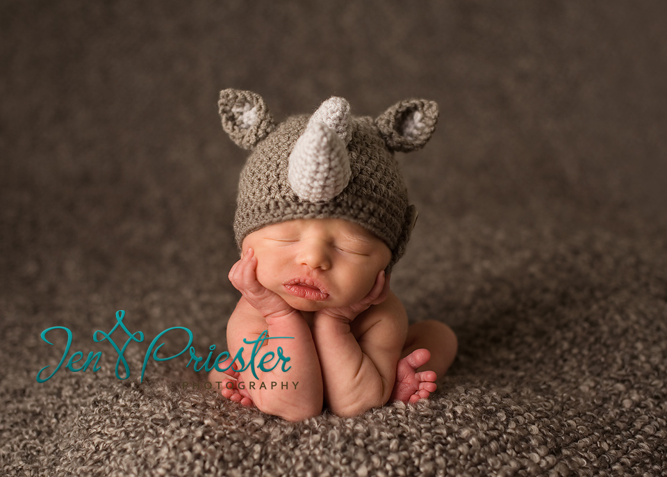 Canton Michigan newborn photography