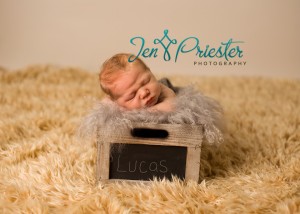 Oakland Michigan Newborn Photographer Mongolian Fur Newborn 300x214