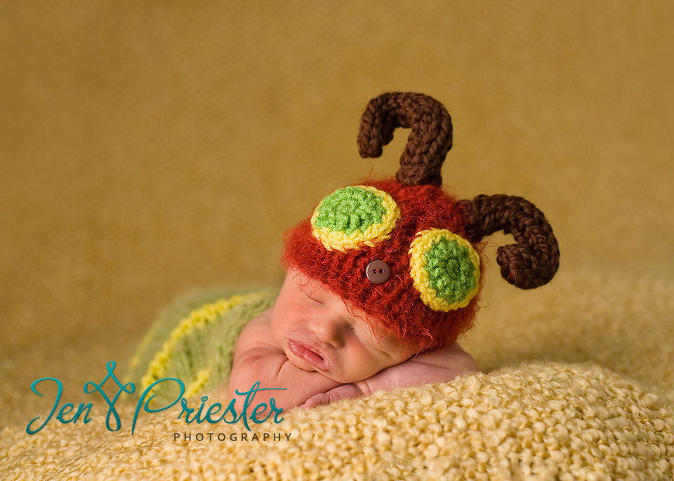 Canton Michigan newborn photography