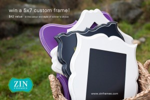 Zin Frames Lake Orion Mi Newborn Photographer 300x200