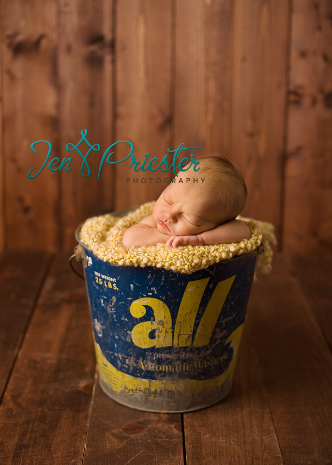 Canton Michigan Newborn Photographer