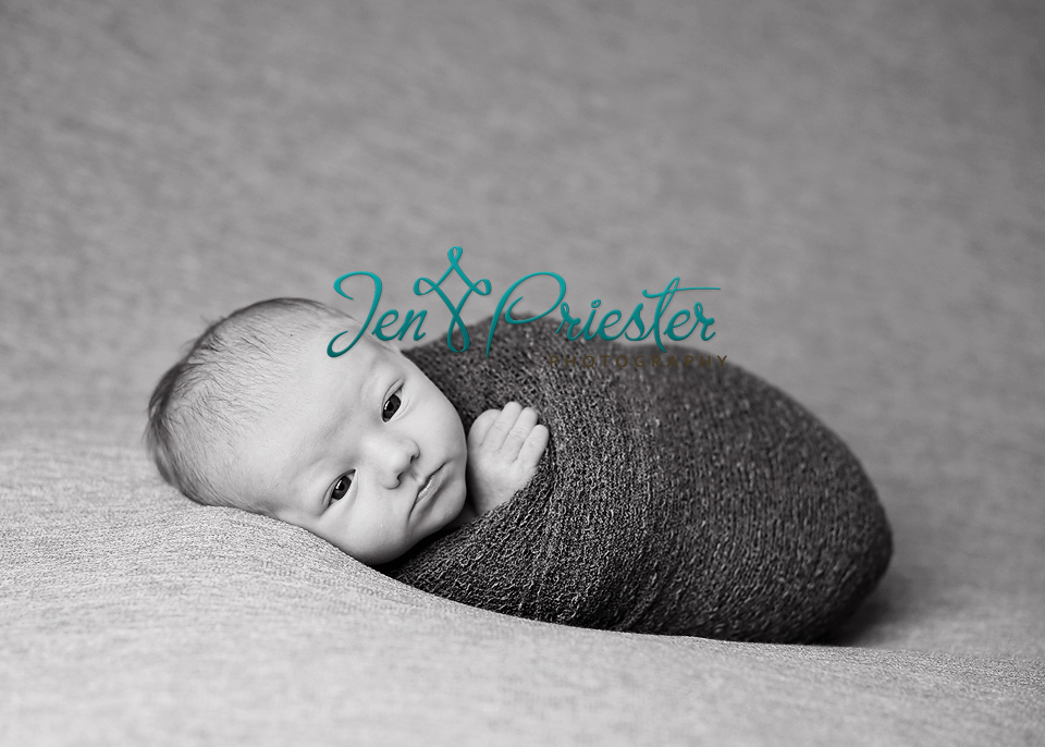 Canton Michigan Newborn Photography