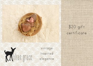 Grace Louise Giveaway Michigan Photography Newborn 300x214