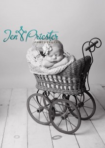 Midland Mi Newborn Photographer Baby Girl Carriage 214x300