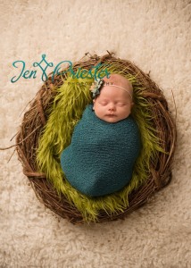 Midland Michigan Newborn Photography Baby Bird Nest 214x300