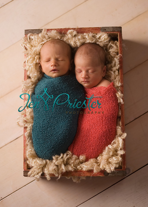 Newborn Photographer In Michigan Babies Twins Multiples Boy And Girl Twins