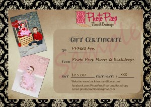 Photo Prop Canton Michigan Newborn Photographer 300x213